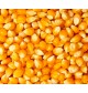 Maíz para palomitas