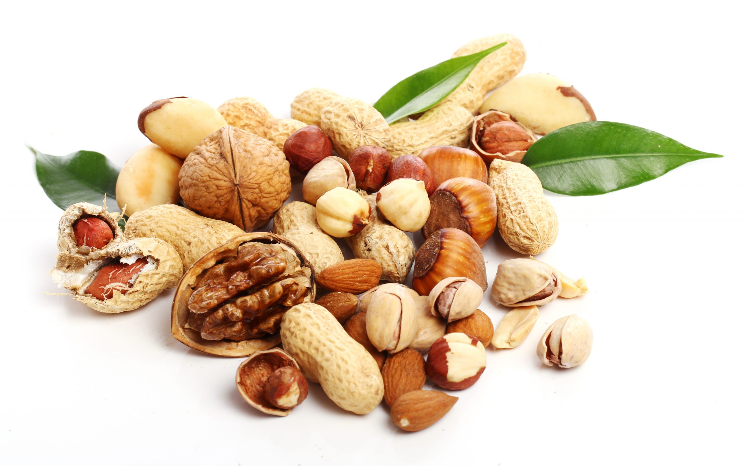 comprar frutos secos al por mayor